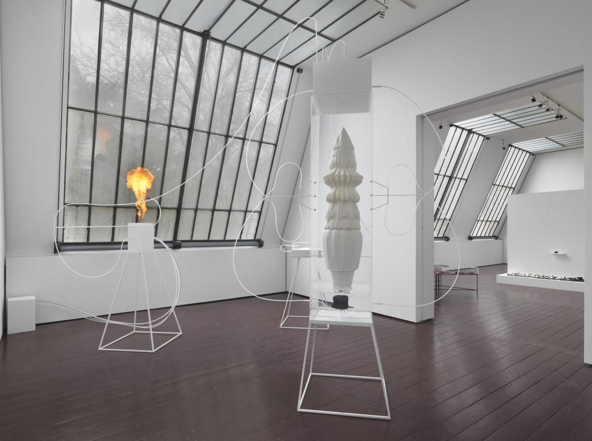 20 Install view Rare Earth  3X