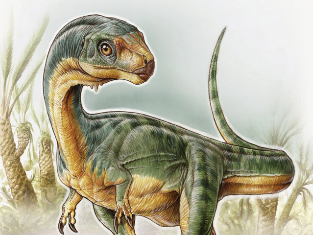 dinosaurus, tyranosaurus, ilustrácia dinosaura