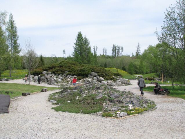 botanická záhrada, Tatry, rastliny