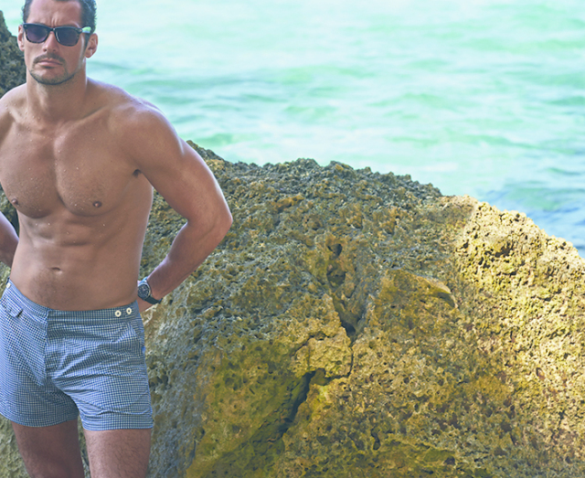 David Gandy