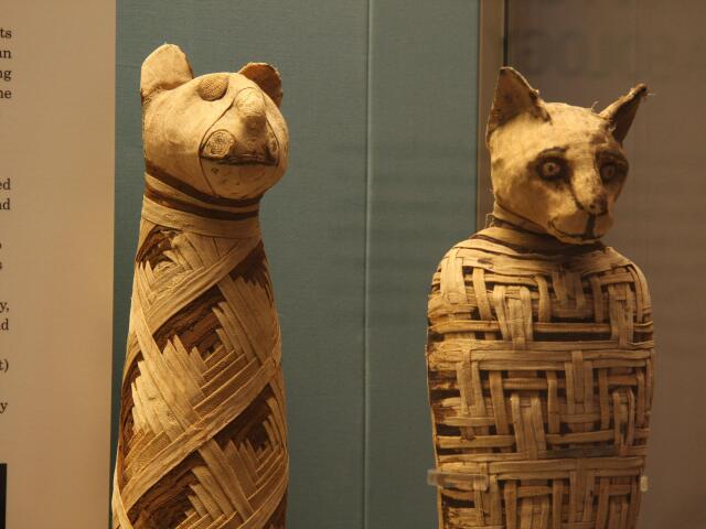 múmie, zvieracie múmie, Egypt, múzeum