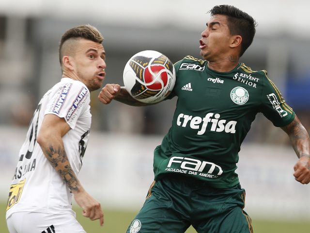 Dudu, Palmeiras