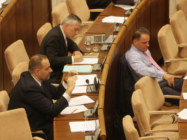 parlament, volba predsedu nku, Kvasnicka, Freso, Droba