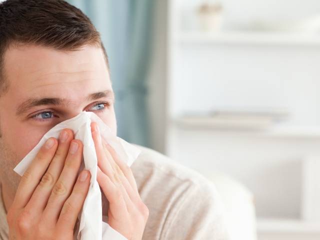alergia, prechladnutie, viróza, vreckovka, sopeľ