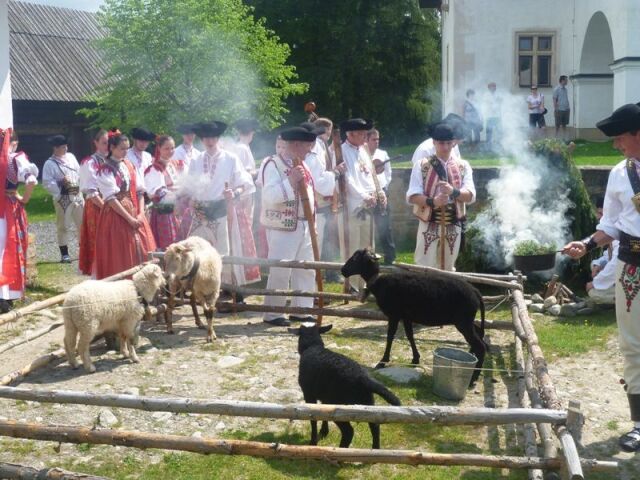 ovce, salaš, bača, pasenie, košiar, liptov,