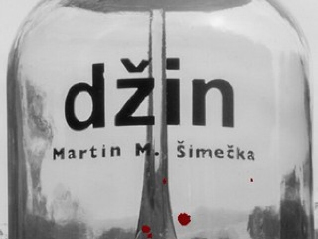 Martin M. Šimečka: Džin