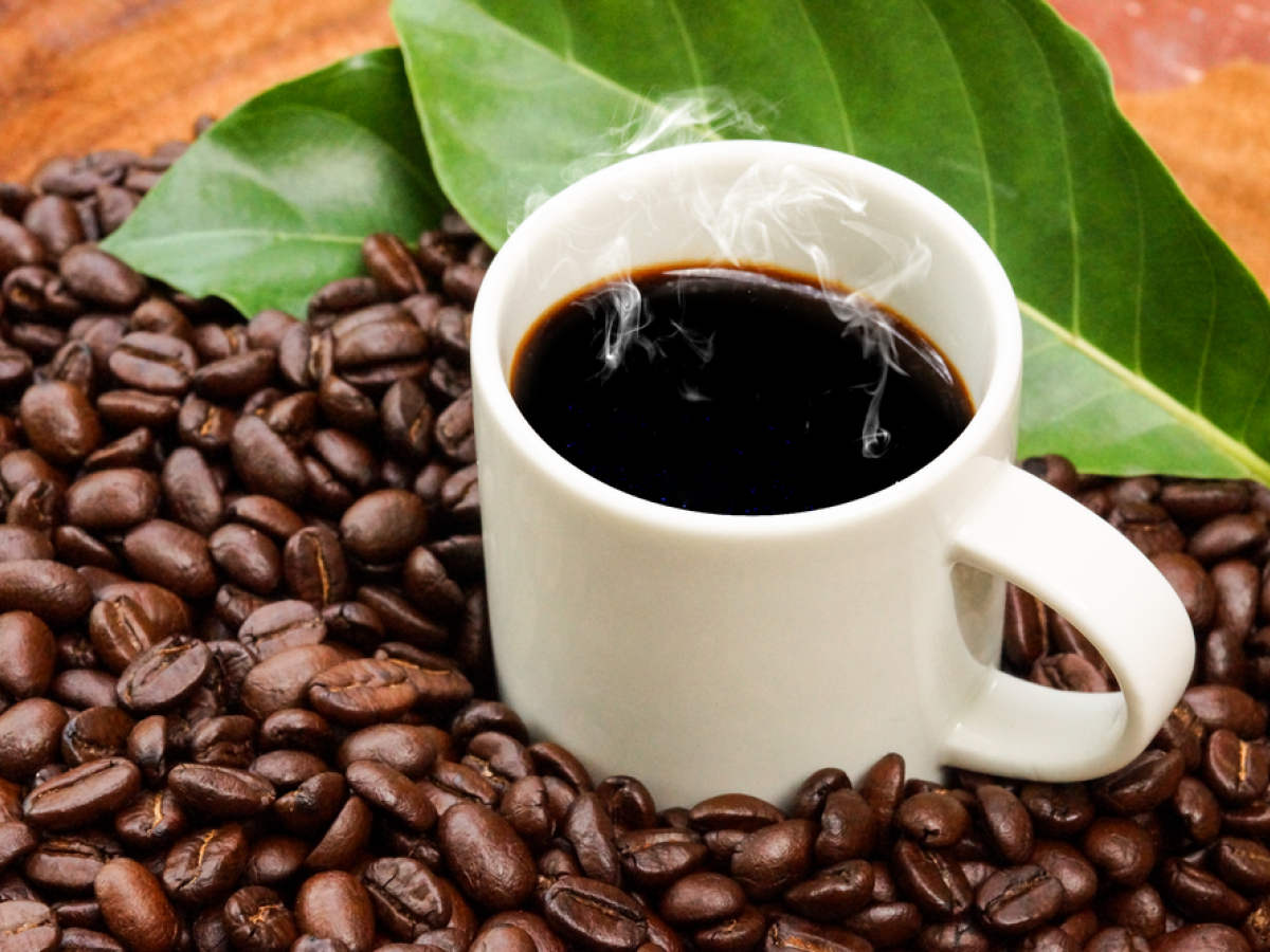káva, antioxidant