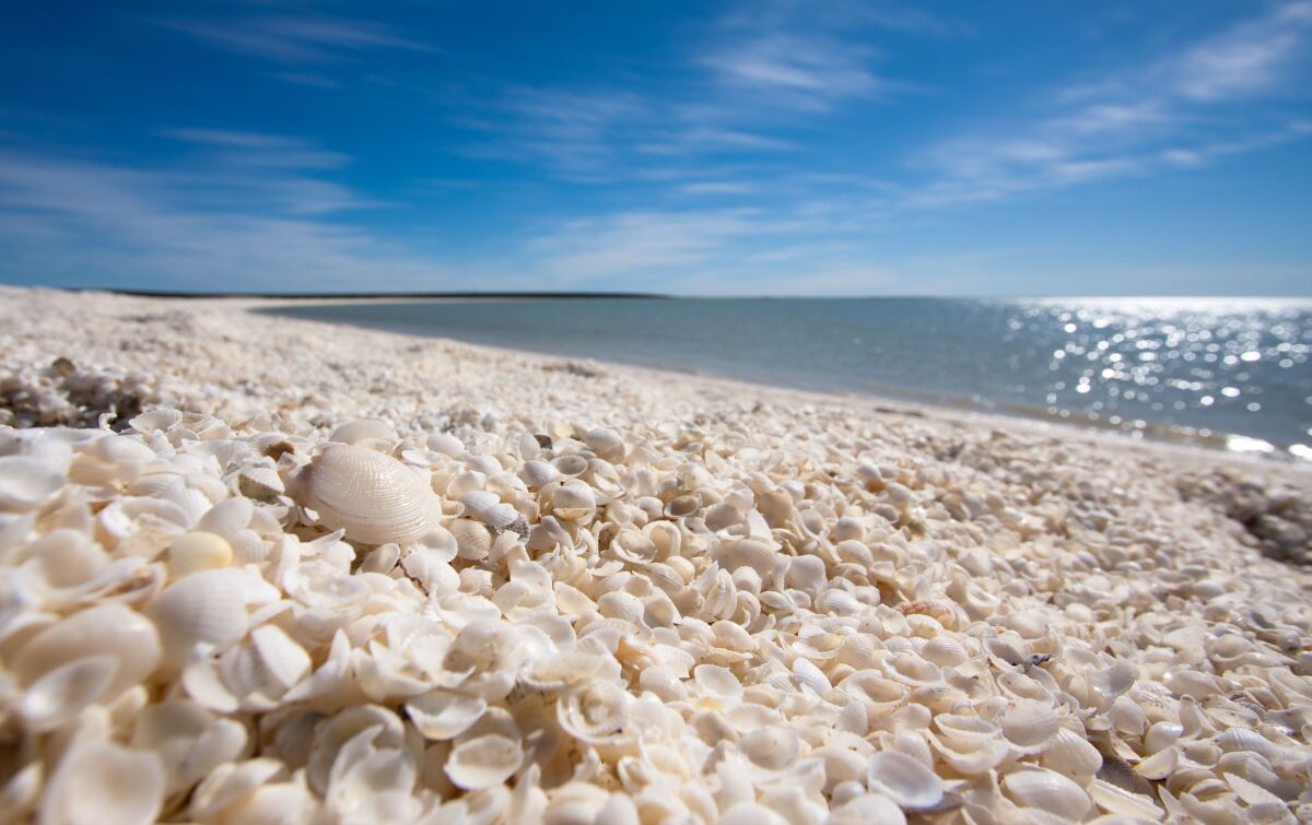 Shell Beach, Shark Bay, Austrália