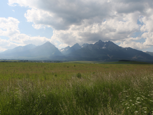 vysoké tatry , štíty , hory , pohorie, TANAP, lúka, rastliny, tráva