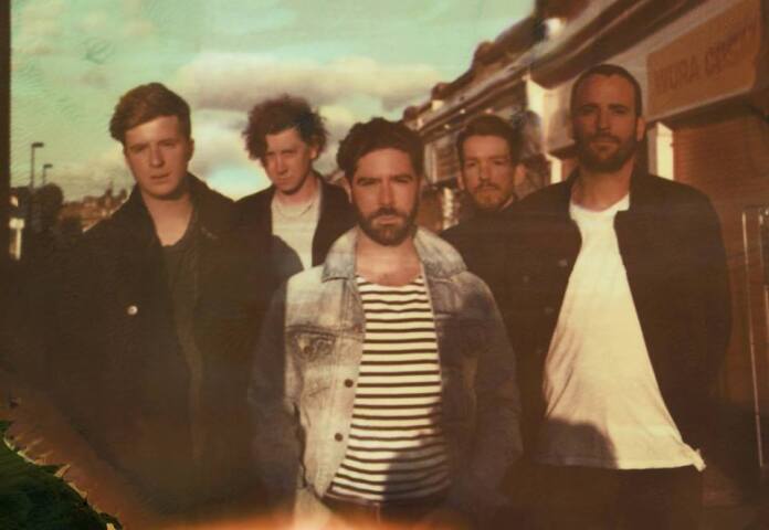 foals