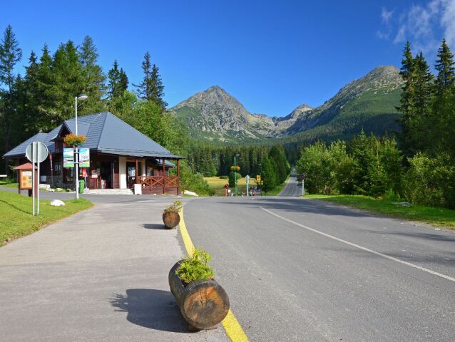 hory, Tatry, túra, dovolenka, kopce, les, hora, stromy, dovolenka, cesta