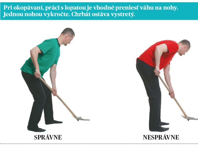 Bez bolesti chrbta, chrbát