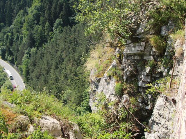Strečno, skala