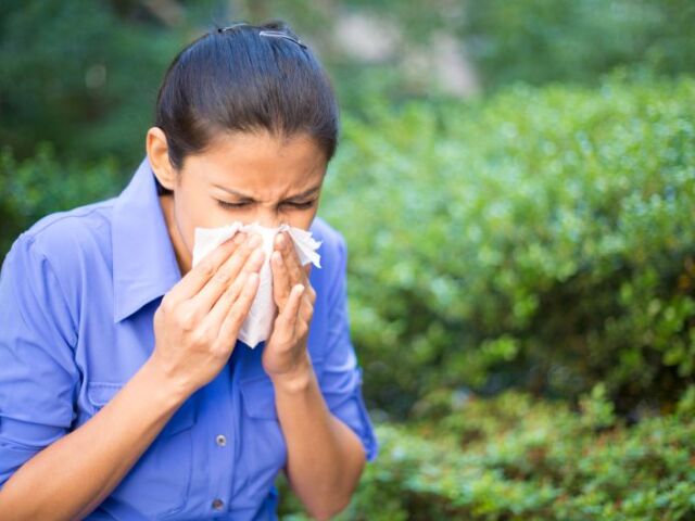 alergia, nádcha, prechladnutie