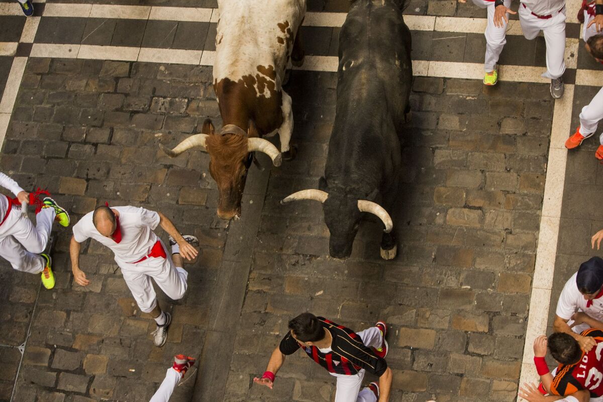 Pamplona, Fermin, fiesta, býky, španielsko, beh, toreádor,Spain San Fermin
