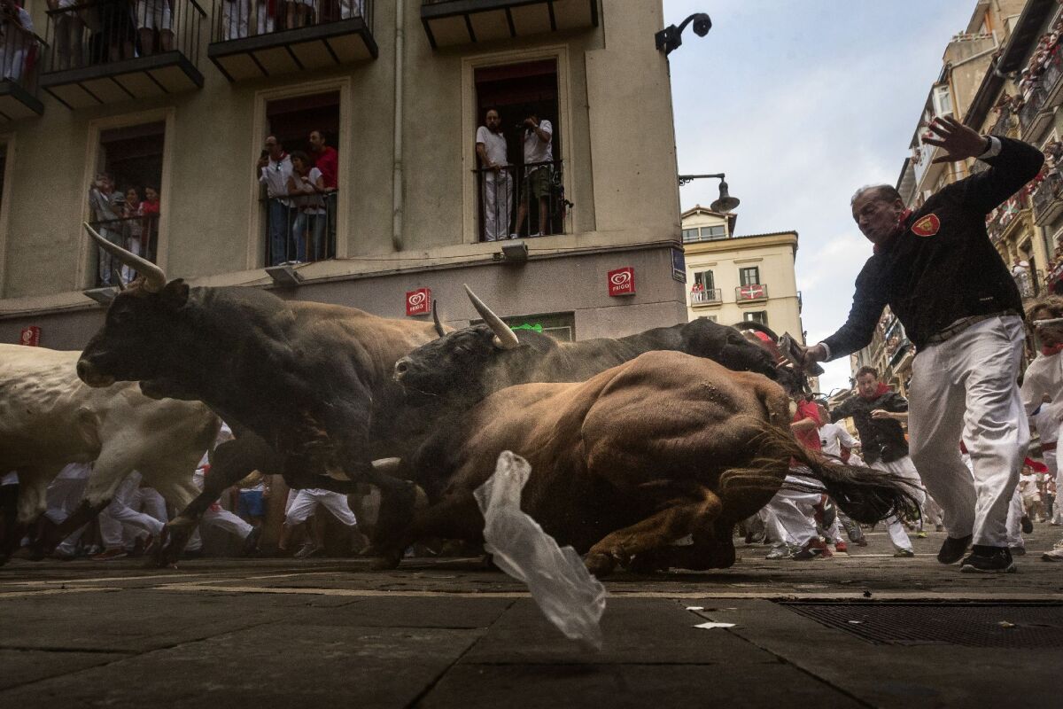 Pamplona, Fermin, fiesta, býky, španielsko, beh, toreádor,