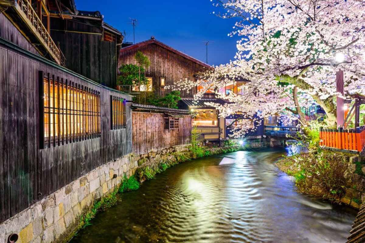 Kjóto, Japonsko, mesto, rieka, čerešne, sakura, strom, kvitne, kvety, romantika, večer