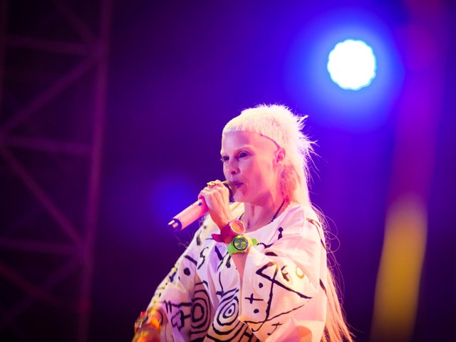 festival bazant pohoda 2015, die antwoord
