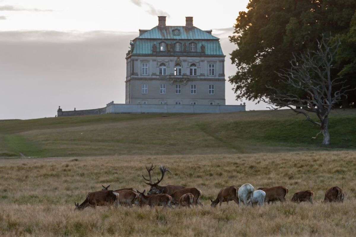 Lovecké revíry, severný Zéland, Dánsko, UNESCO, lúka, dom,