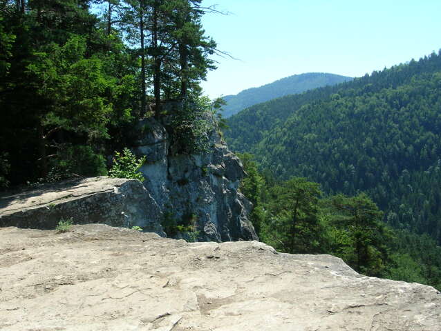 slovenský raj, národný park, príroda, les, skala, tomášovský výhľad