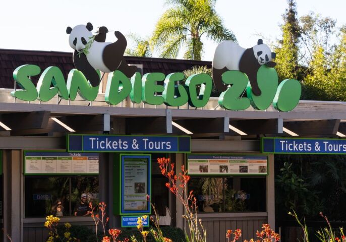 Zoo, zoologická záhrada, San Diego, pandy