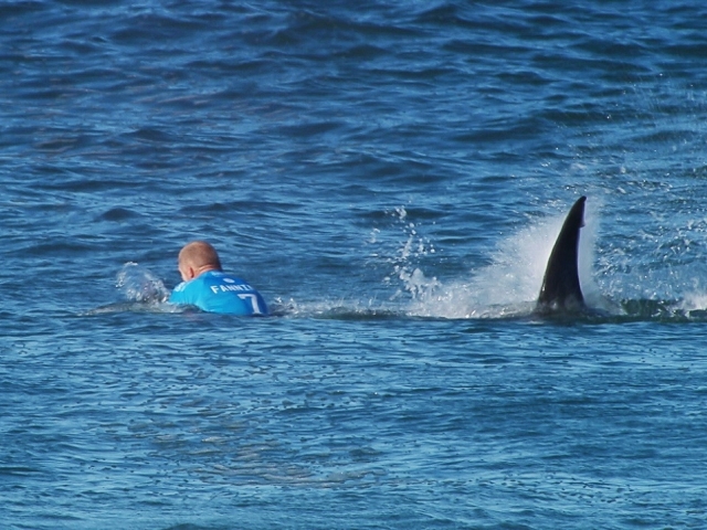 Mick Fanning