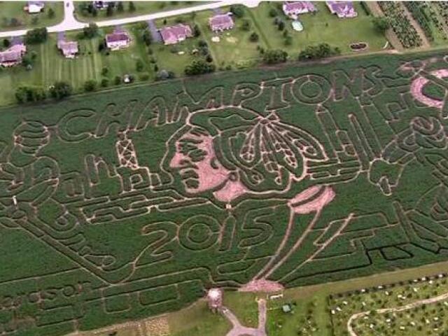 Chicago Blackhawks,