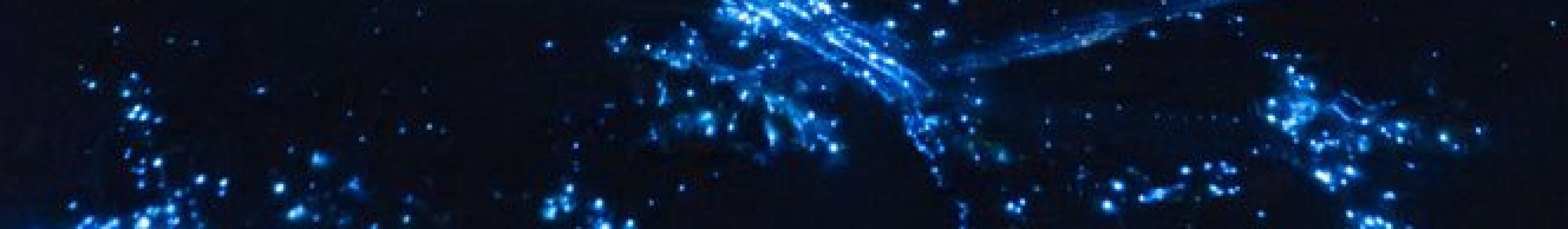 Bioluminiscenčný fytoplanktón, Maledivy, svetielka, pláž, piesok, noc, more, tma