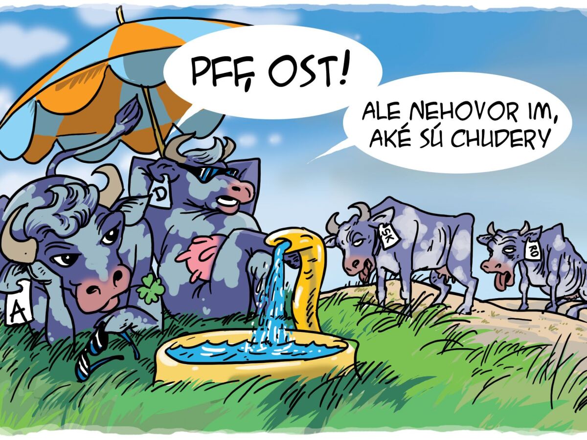 Danglár, 8.8.2015.rgb