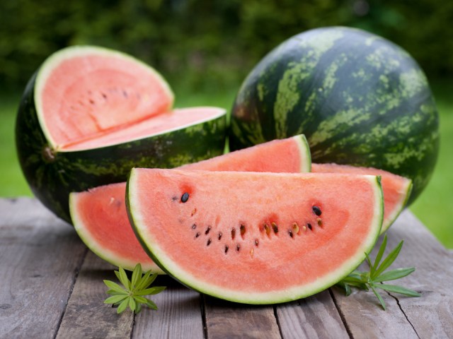 melón, leto. výživa