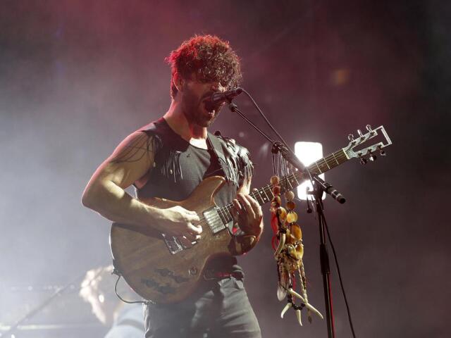Britain Foals