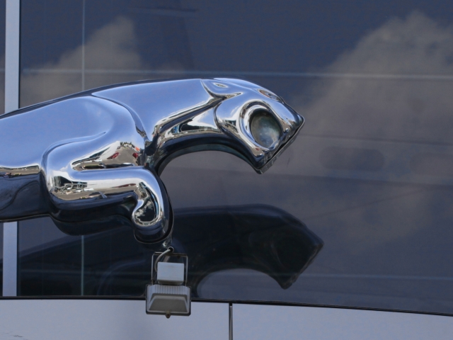 Jaguar