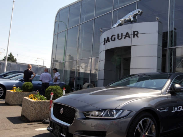 jaguar