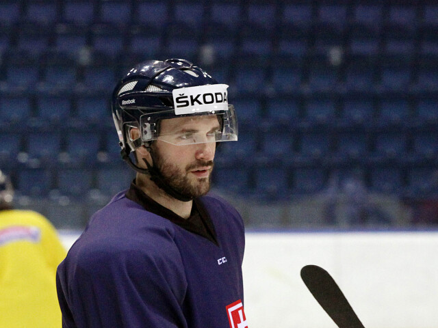 Marek Viedenský