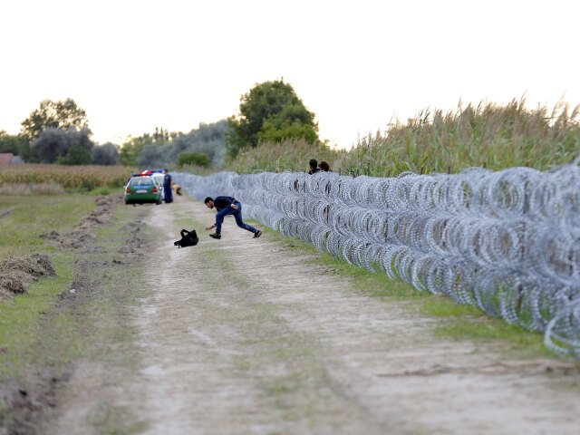 utečenci, migranti, plot, maďarsko,