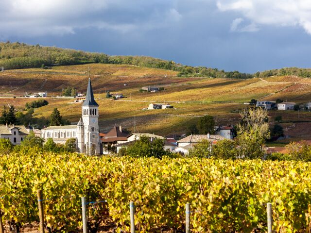 Beaujolais, vinohrad, vinárska oblasť
