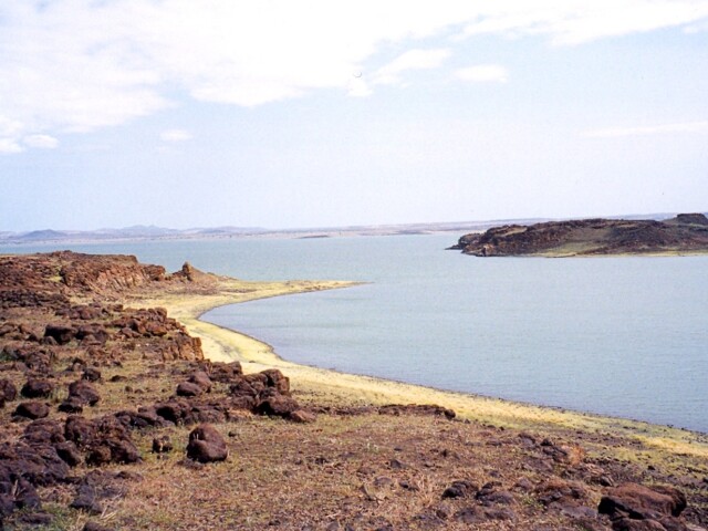 Turkana, fosílie