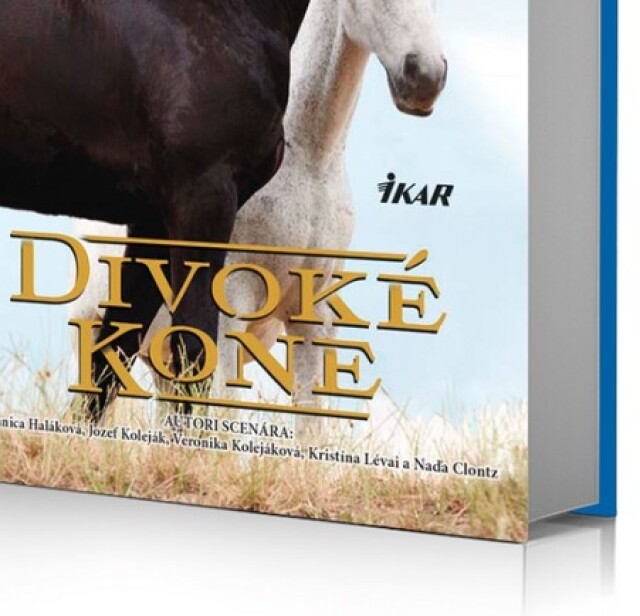 Andrea Coddington - Divoké kone