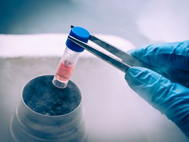 pokus, laboratórium, experiment