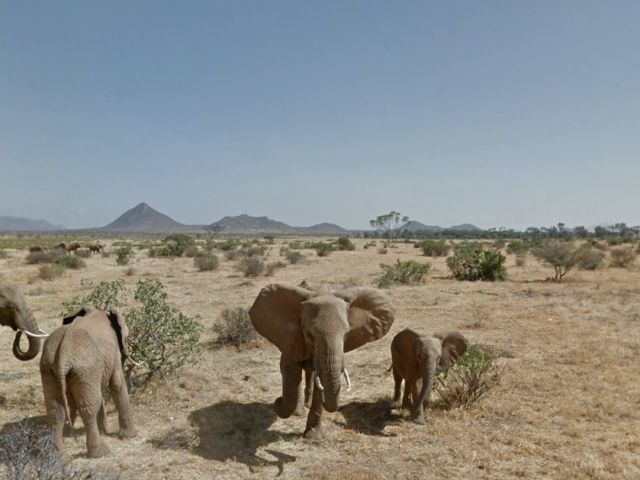 samburu, keňa, národný park, samburu