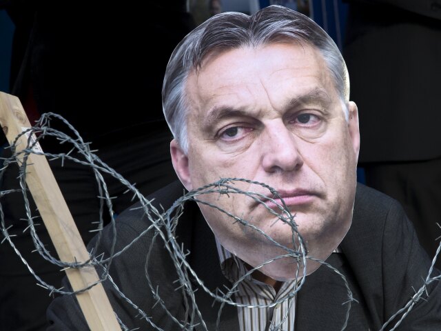 Viktor Orbán, aktivisti