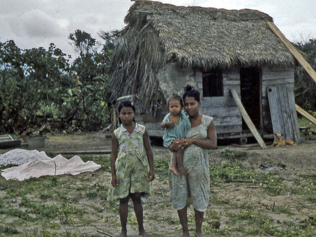 Miskitovia, indiáni, Nikaragua