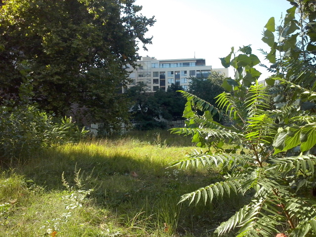 park Belopotockého