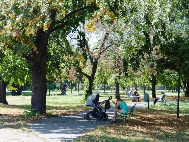 Šaľa, park