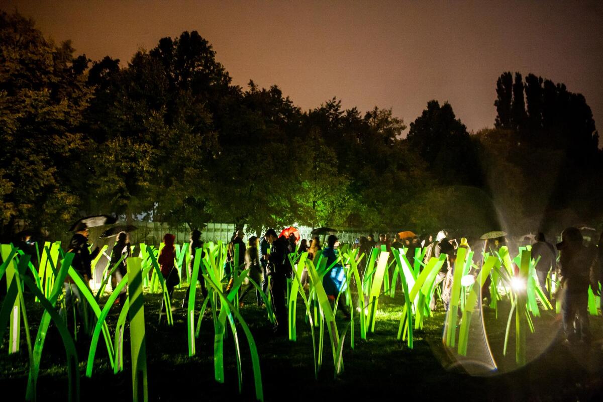 kultura, biela noc, medicka zahrada