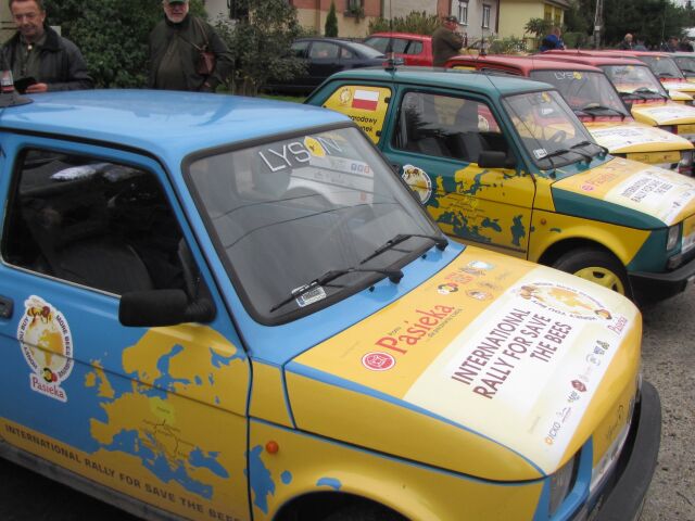 autá, fiat