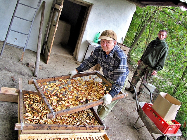 sušiareň ovocia