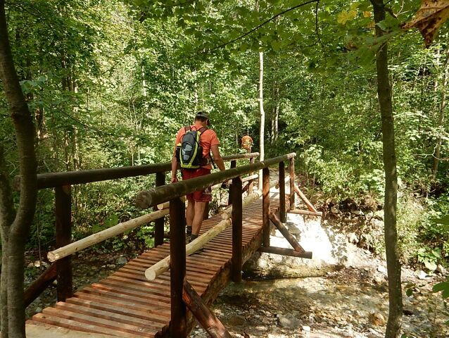 turisti, Malá Fatra, chodník, mostík, drevený most, les, príroda,
