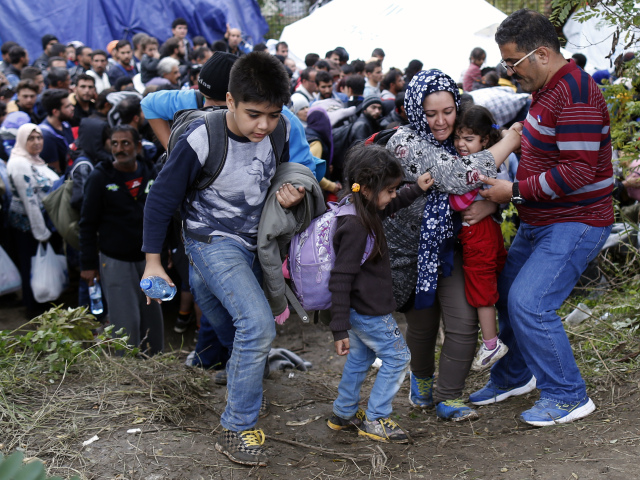 utečenci, migranti, utečenecká kríza, srbsko, chorvátsko,