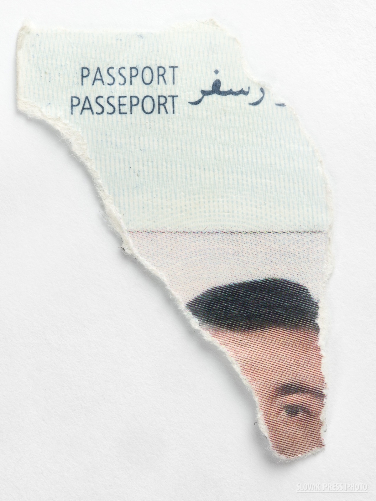 portret 1 miesto robert tappert id